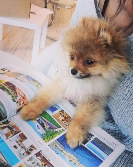 Roméo, notre petit stagiaire, prépare...